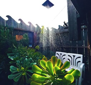 Property grounds - Dog Friendly Cottage with Ocean Views (Stinson Beach)