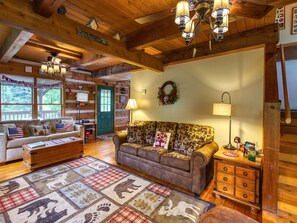 TV, fireplace, books