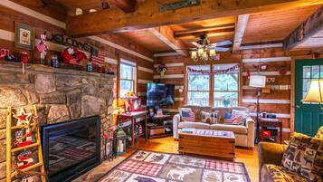 Televisión, chimenea y libros