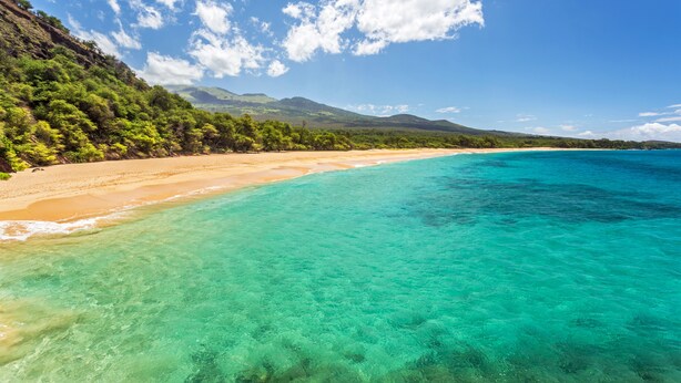 A beach with clear turquoise waters, sandy shore, and lush greenery.