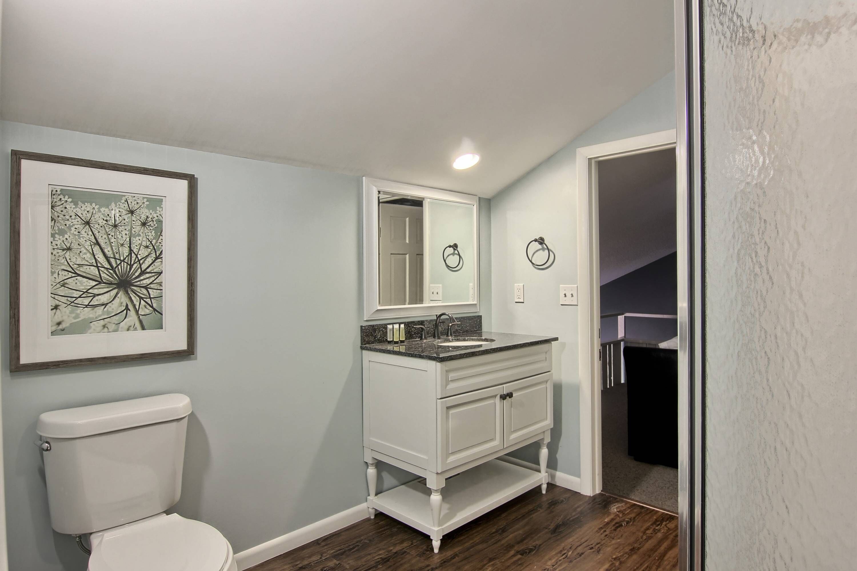 A bathroom with a white toilet, a vanity with a mirror, and a framed artwork on the wall.
