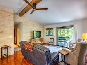 TV, fireplace, DVD player