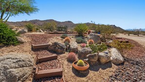 A desert garden with various cacti and succulents, wooden planters, and a bench.