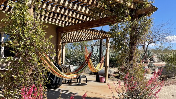 A wooden pergola with a hammock, surrounded by desert plants and a clear blue sky.
