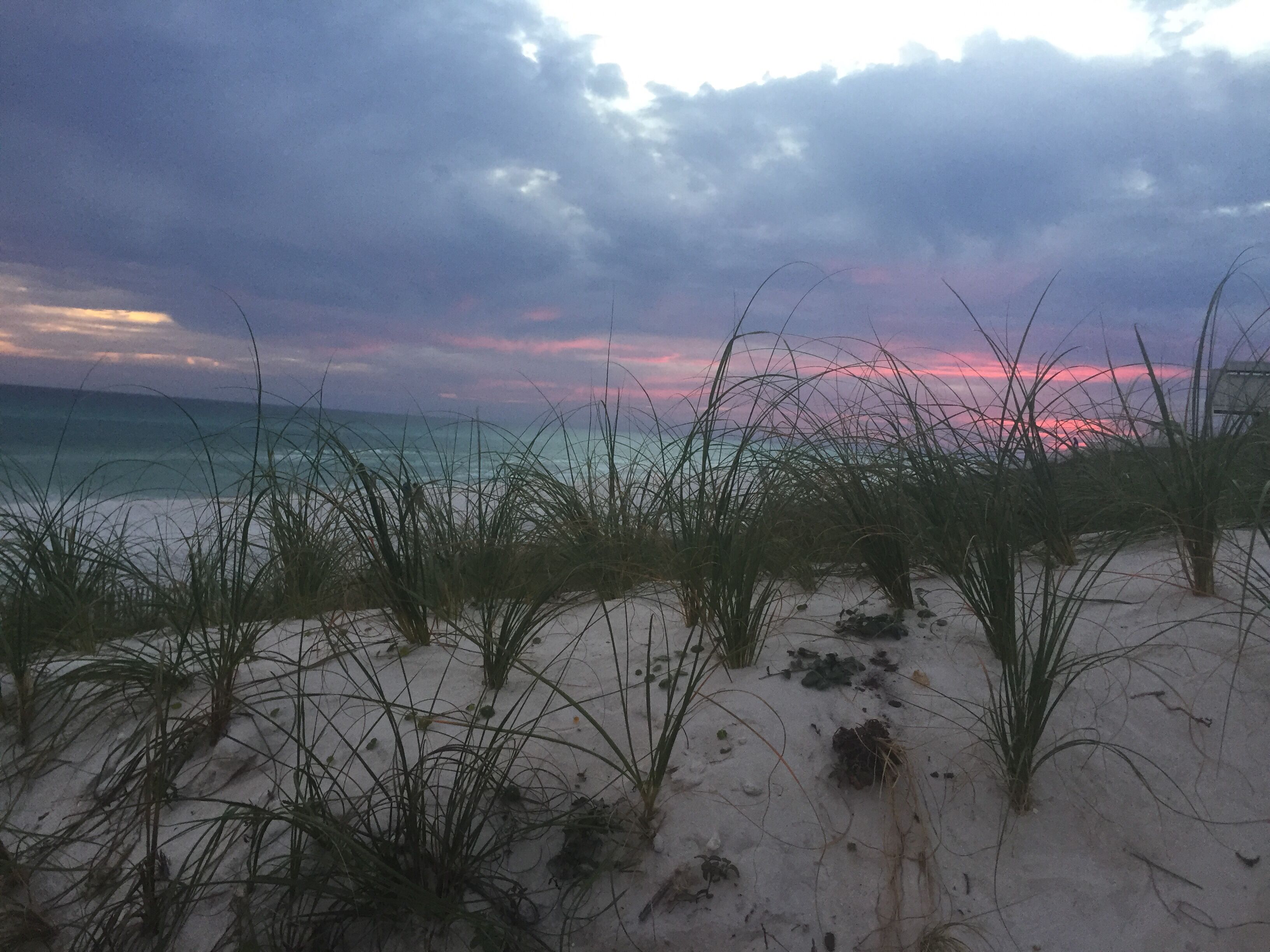 Une plage de sable avec quelques touffes d’herbe au premier plan, qui s’étend jusqu’à l’océan.