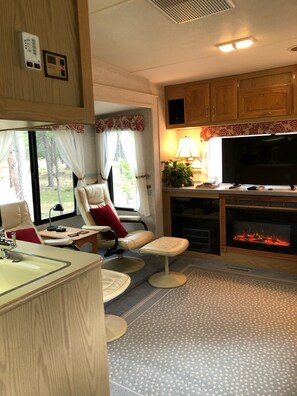 Smart TV, chimenea y reproductor de DVD 