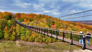 A suspension bridge with a metal walkway and safety railings, surrounded by autumn-colored trees. - 2BR Slopeside Disciples Village 691 - Amazing Ski In/Ski Out on Boyneland! (Boyne Falls)