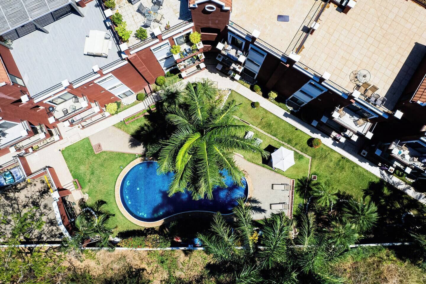 An aerial view of a residential area with a swimming pool surrounded by palm trees and a small garden.