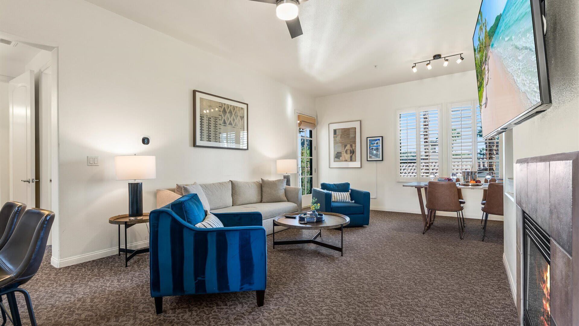 電視、DVD 播放機