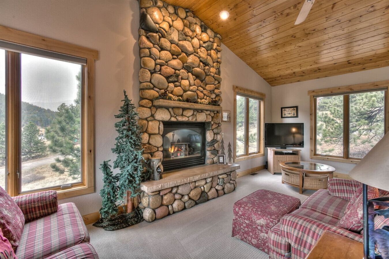 Smart TV, caminetto, lettore DVD