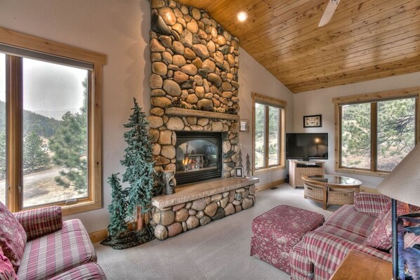 TV connectée, cheminée, lecteur de DVD