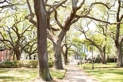 Bleiben Sie bei Lucky Savannah: Bird Baldwin House mit eigenem Parkplatz und Kingsize-Bett