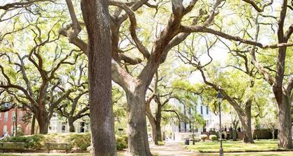 Bleiben Sie bei Lucky Savannah: Bird Baldwin House mit eigenem Parkplatz und Kingsize-Bett