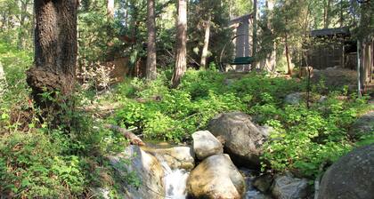 Secluded "Hidden Heaven" Vintage Cabin on Strawberry Creek, Walk to town