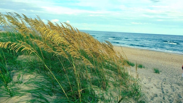 A beach with tall grasses and the ocean in the background. - 3 Bedroom, 2 full baths. Steps to beach! (Kill Devil Hills)