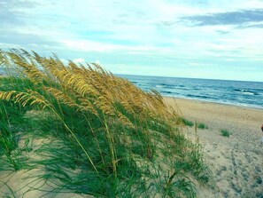 A beach with tall grasses and the ocean in the background. - 3 Bedroom, 2 full baths. Steps to beach! (Kill Devil Hills)