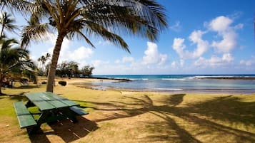 Una spiaggia nelle vicinanze, lettini da mare, teli da spiaggia