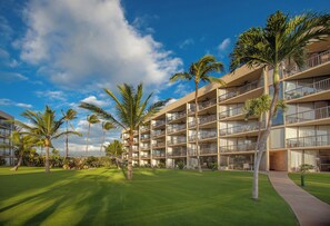 A multi-story hotel with balconies, a well-maintained lawn, and palm trees. - Maui Sunset #A-117 Oceanfront Complex, Ocean View, Ground Floor, Full A/C (Kihei)