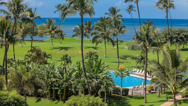 Ein Golfplatz mit Pool und Palmen.