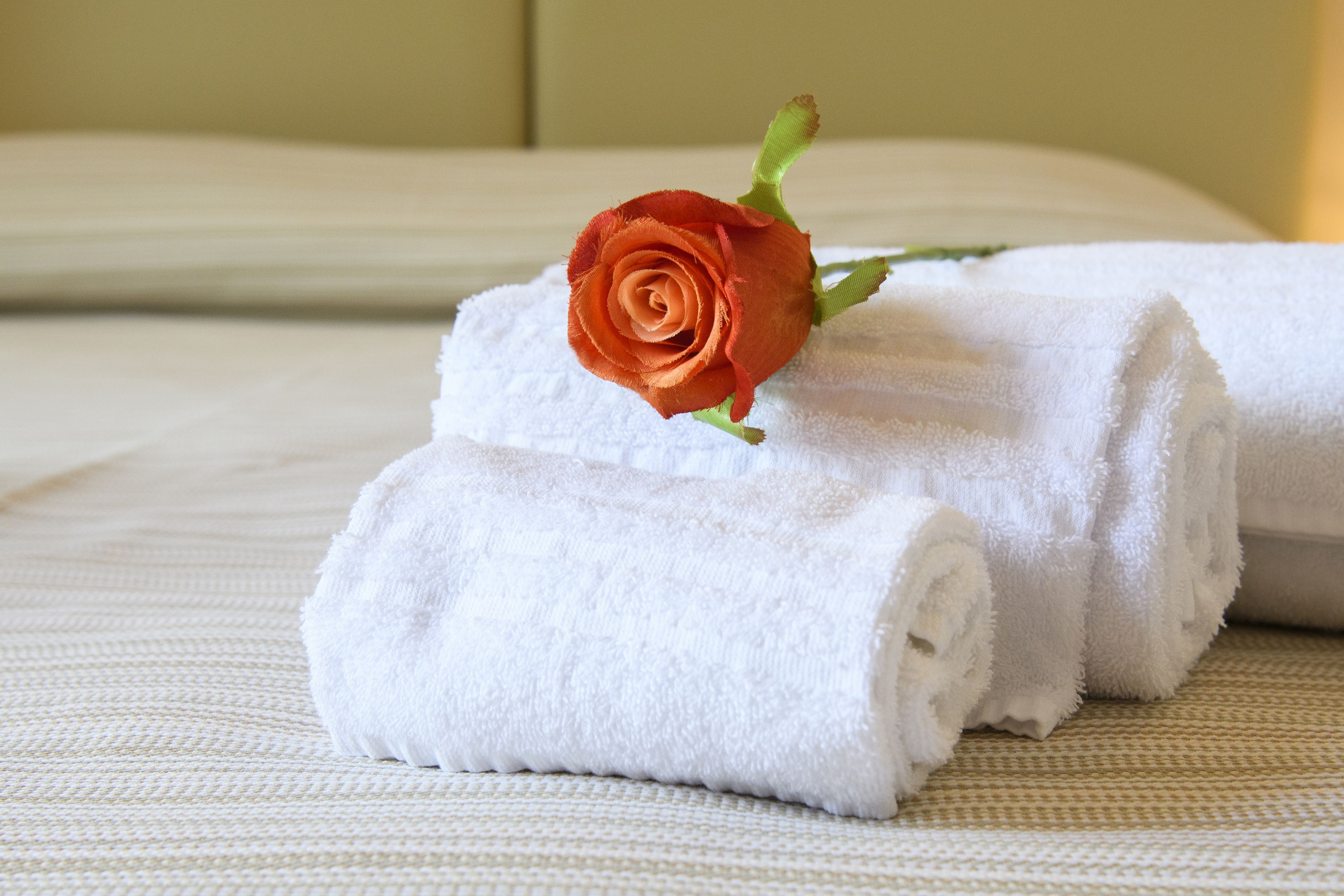 Foto - Domus Il Palio