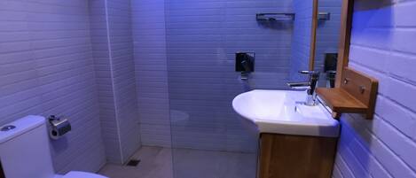 A bathroom with a toilet, a sink, and a shower area.