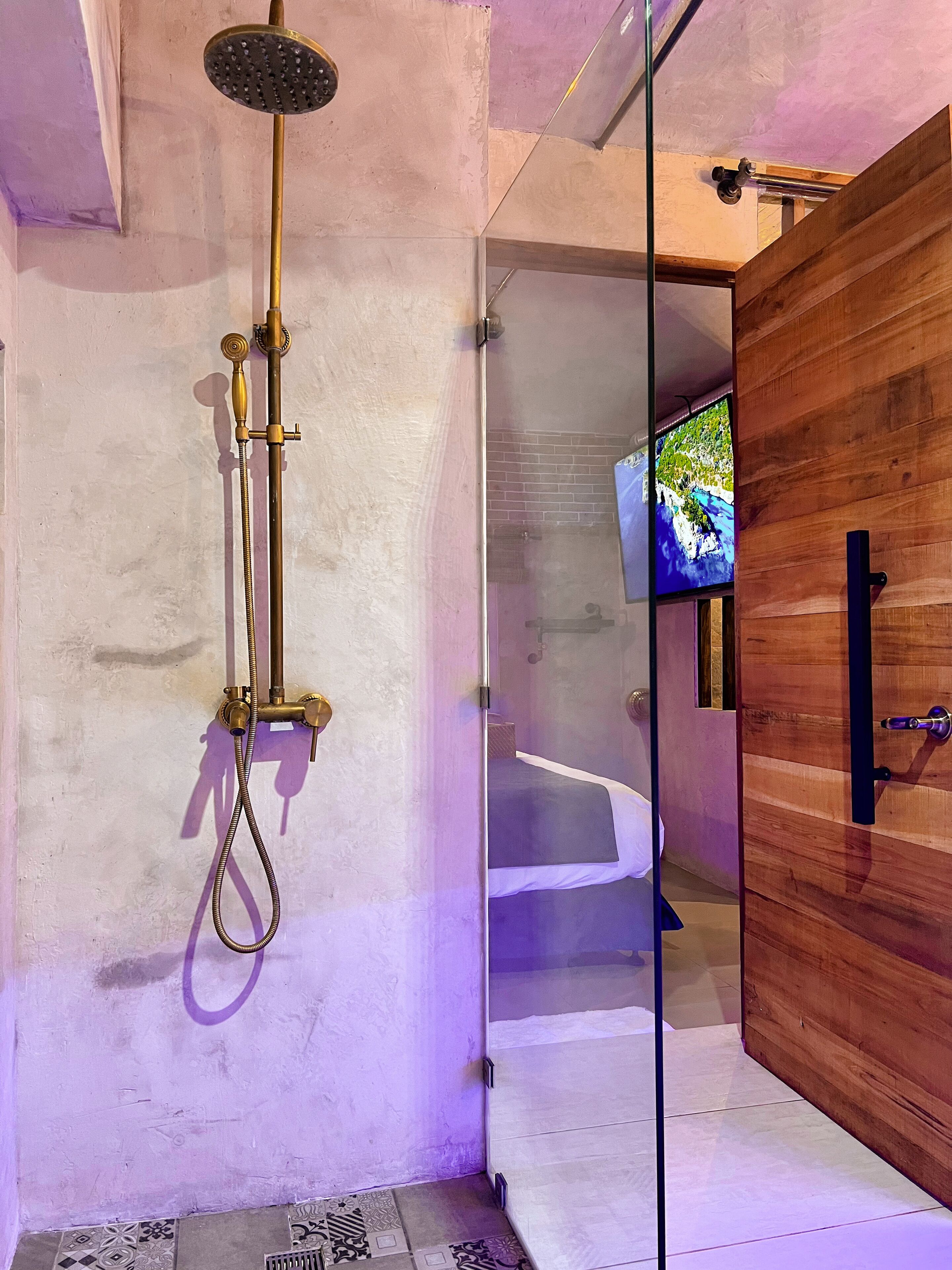 Une salle de bain moderne avec une douche à parois de verre, une porte en bois et un téléviseur fixé au mur.