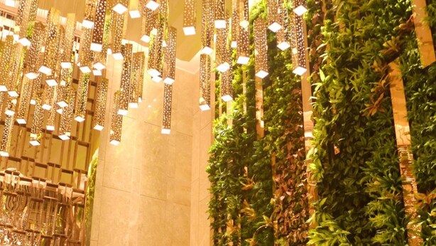 A modern interior with a Starbucks logo, vertical greenery, and hanging lights. - Menshine Gloria Plaza Hotel Shantou (Shantou)