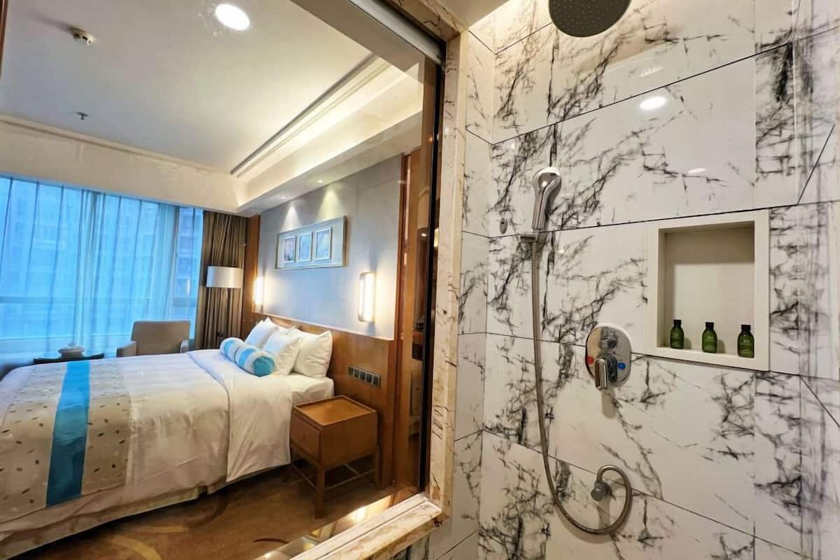 deluxe queen room  | view from room