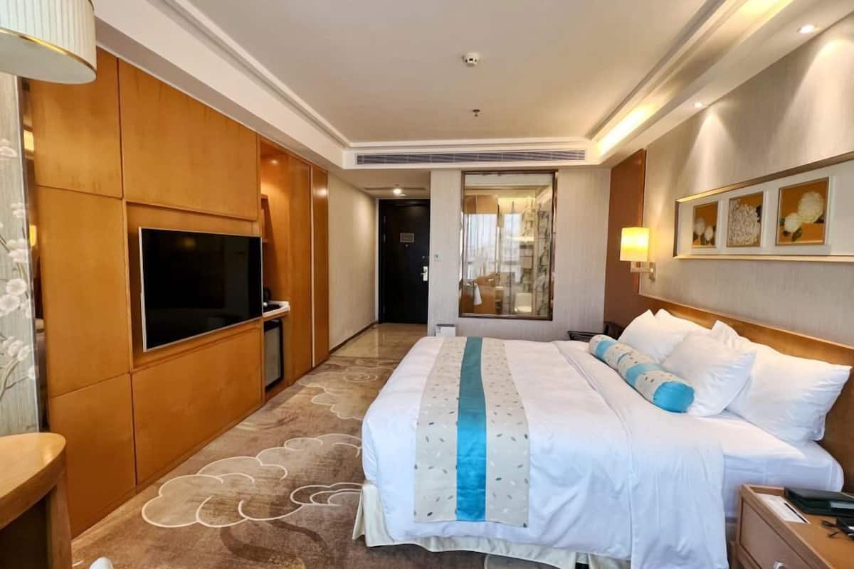 deluxe queen room  | view from room