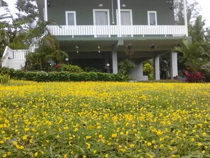 Vista dalla struttura