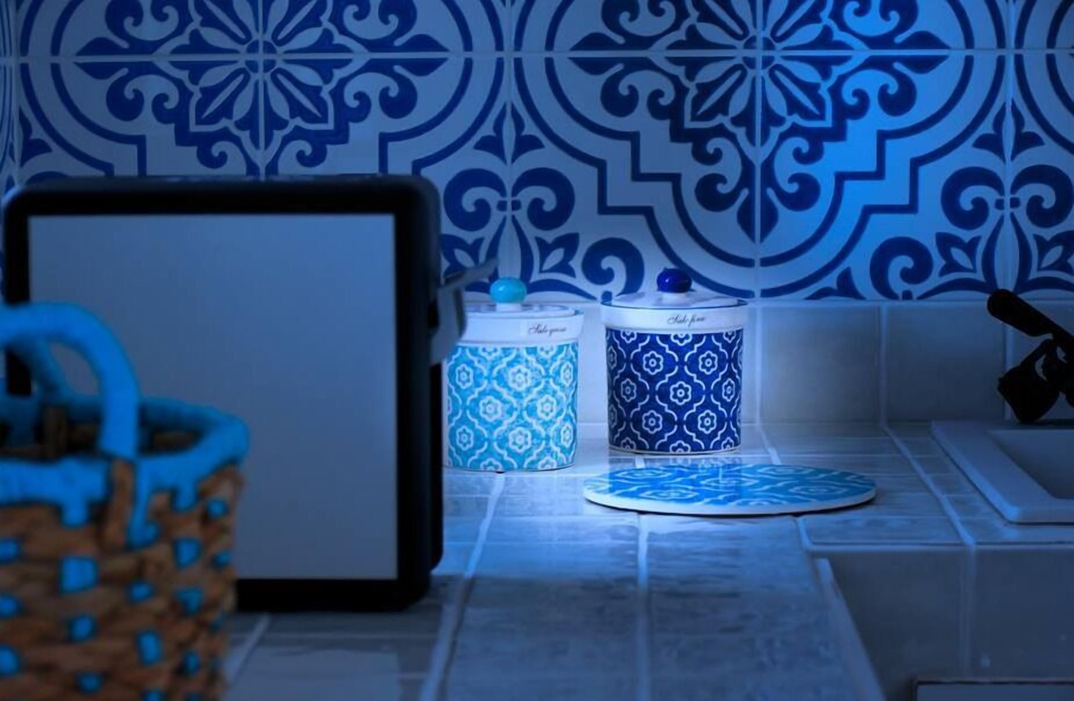 Un bagno con parete rivestita di piastrelle decorate, un cestino della spazzatura con motivo blu e bianco e un portasapone decorato con lo stesso motivo.