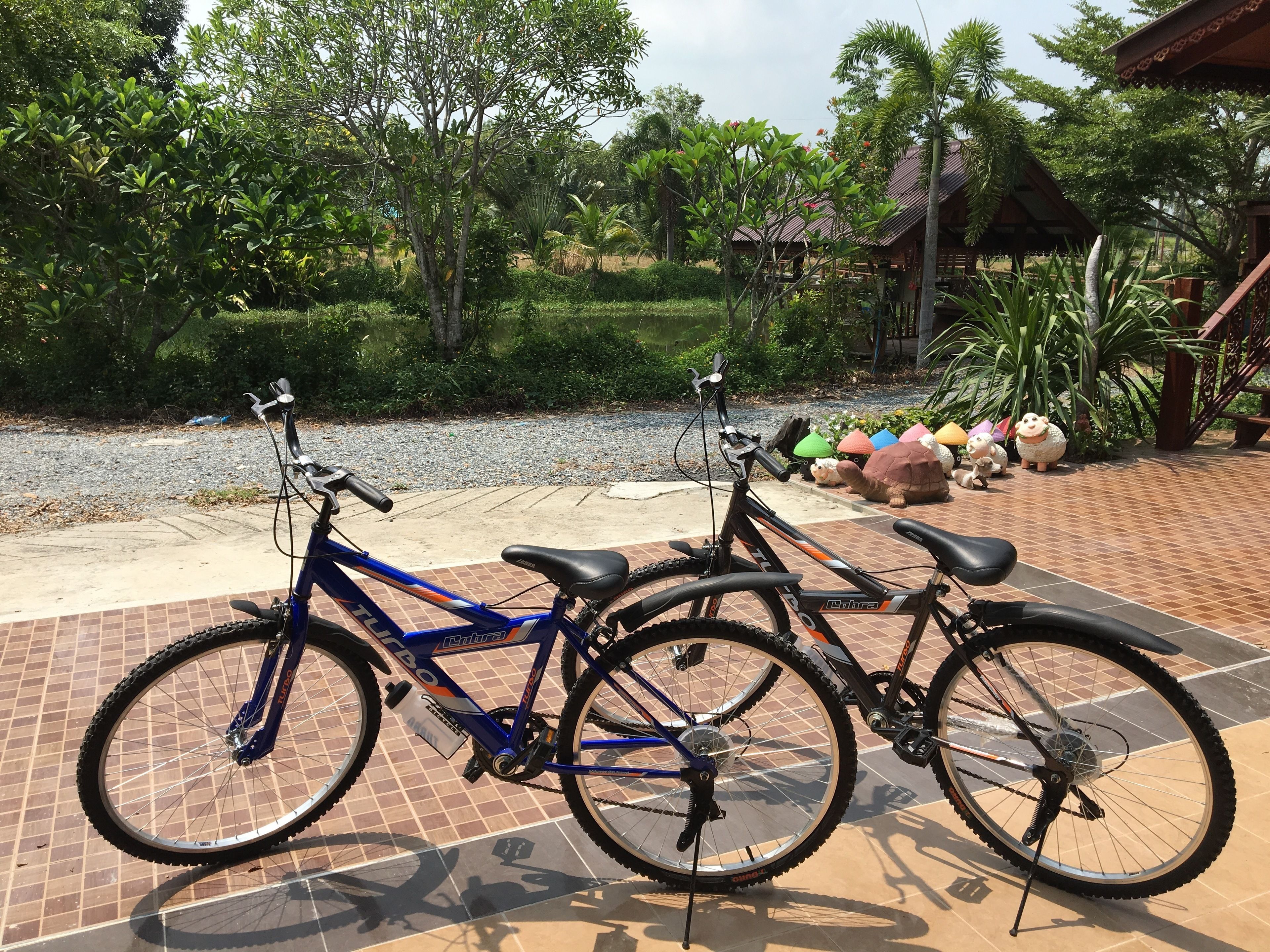 Two bicycles parked on a tiled patio with a tropical garden in the background.