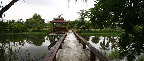 Un puente de madera que conduce a un mirador sobre un cuerpo de agua tranquilo, rodeado de exuberante vegetación.