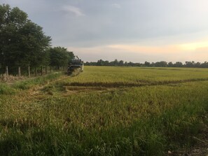 Vista desde la propiedad