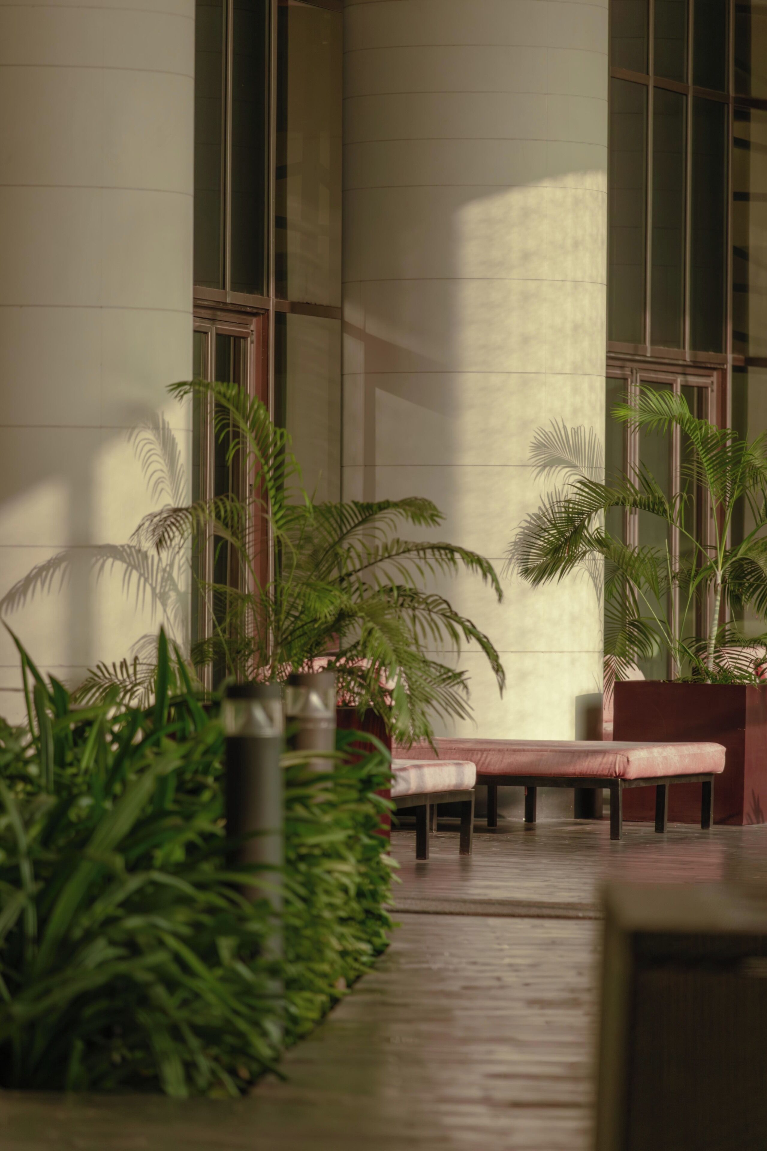 Un interior moderno con un banco y plantas en macetas, ventanas amplias y piso de baldosas.