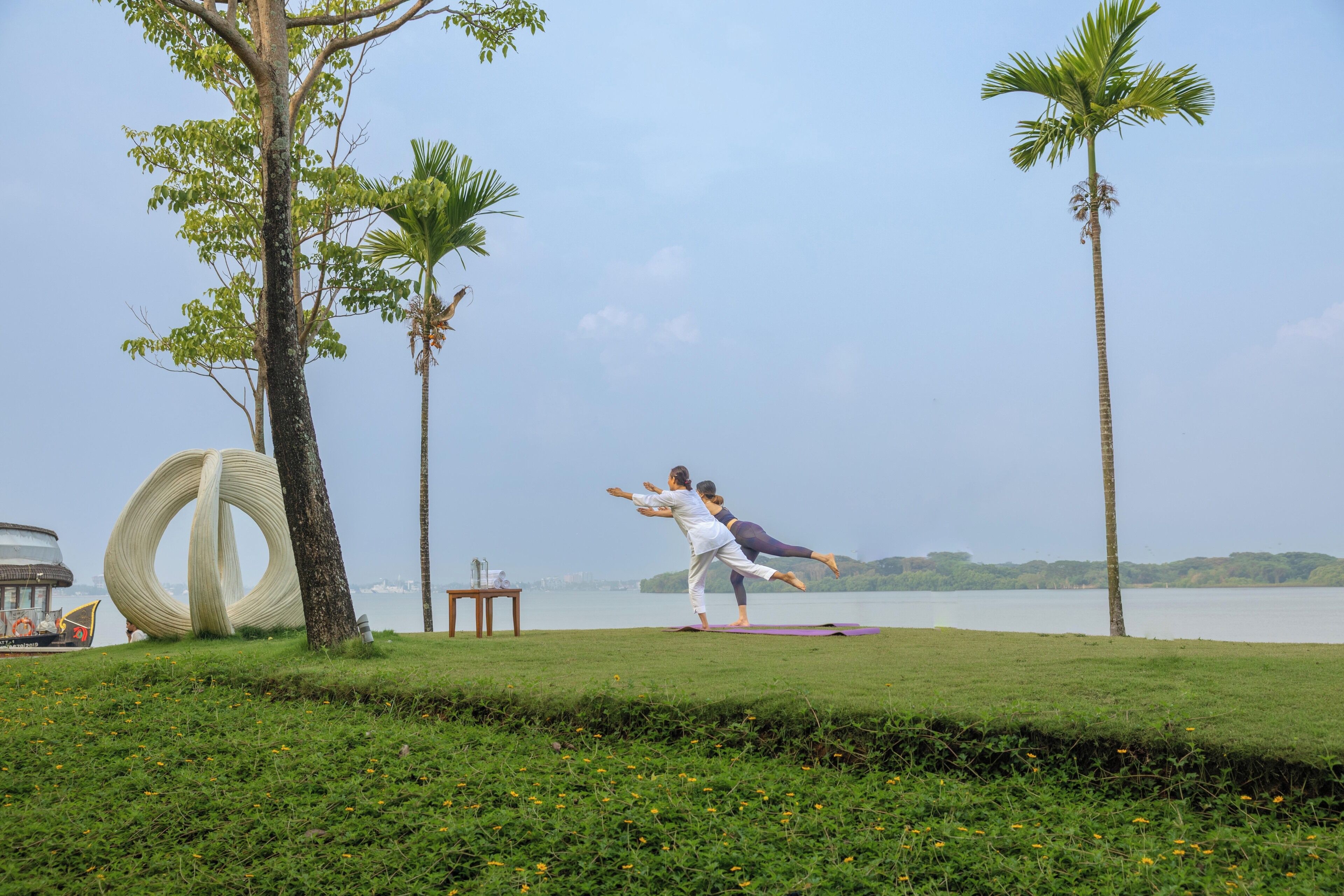 A grassy area with trees and a body of water in the background.