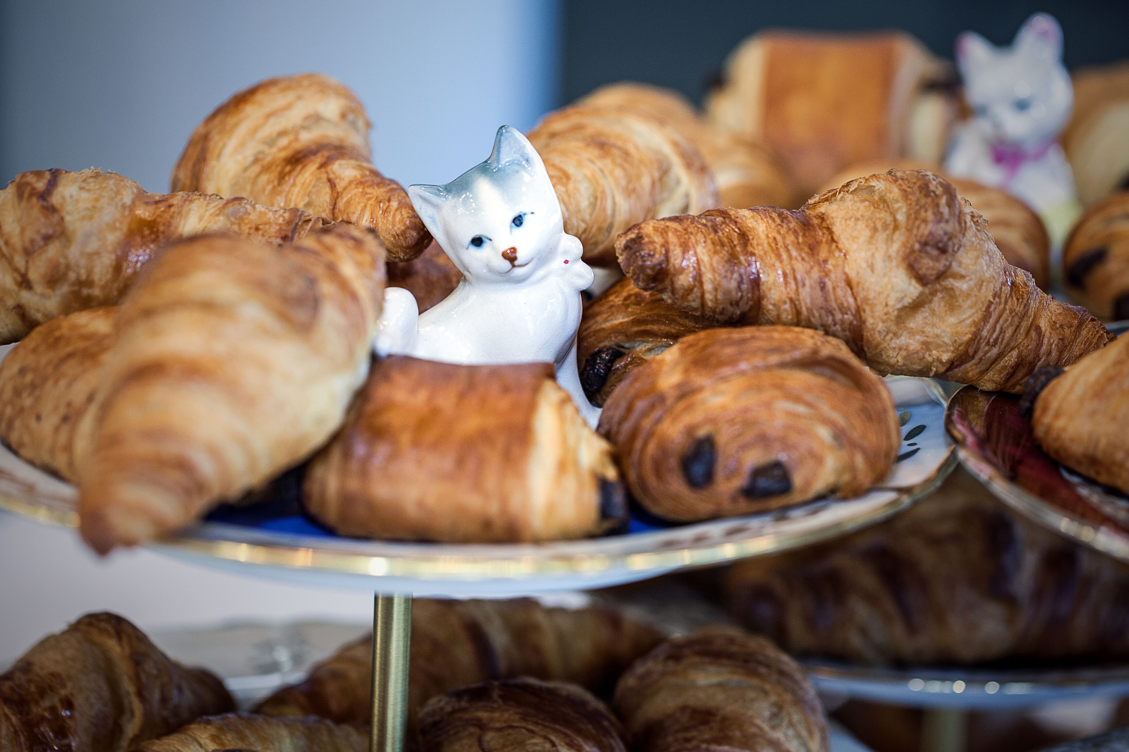 daily buffet breakfast (chf 22 per person)