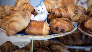 Diversos pastéis, incluindo croissants, dispostos numa bandeja.