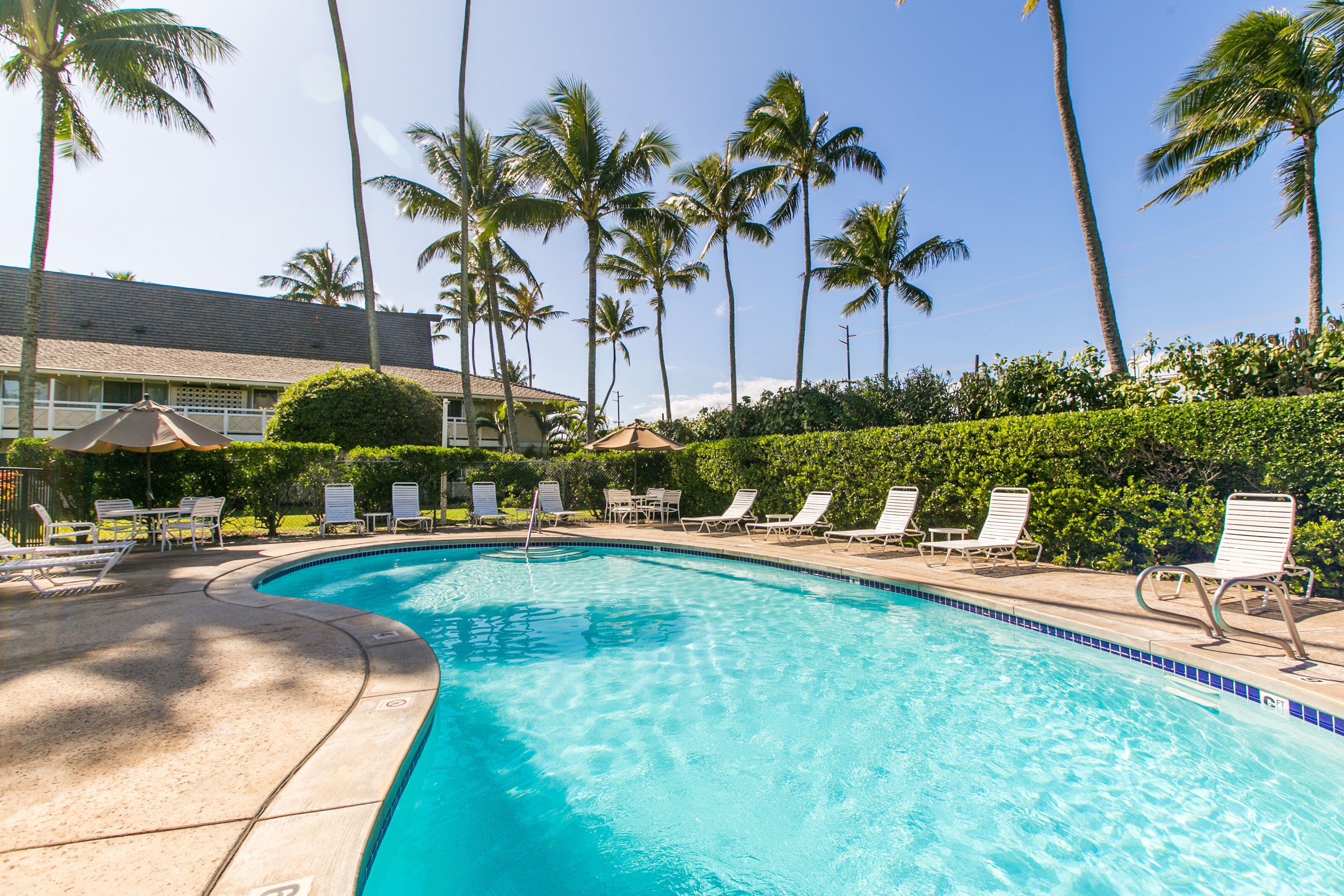 A swimming pool with lounge chairs and palm trees.