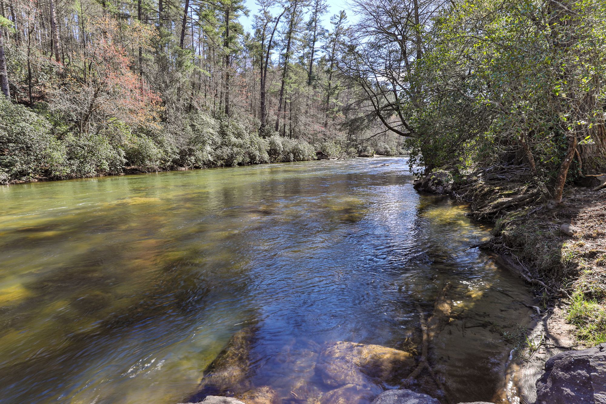 A river flowing through a forested area with trees and rocks along the banks.