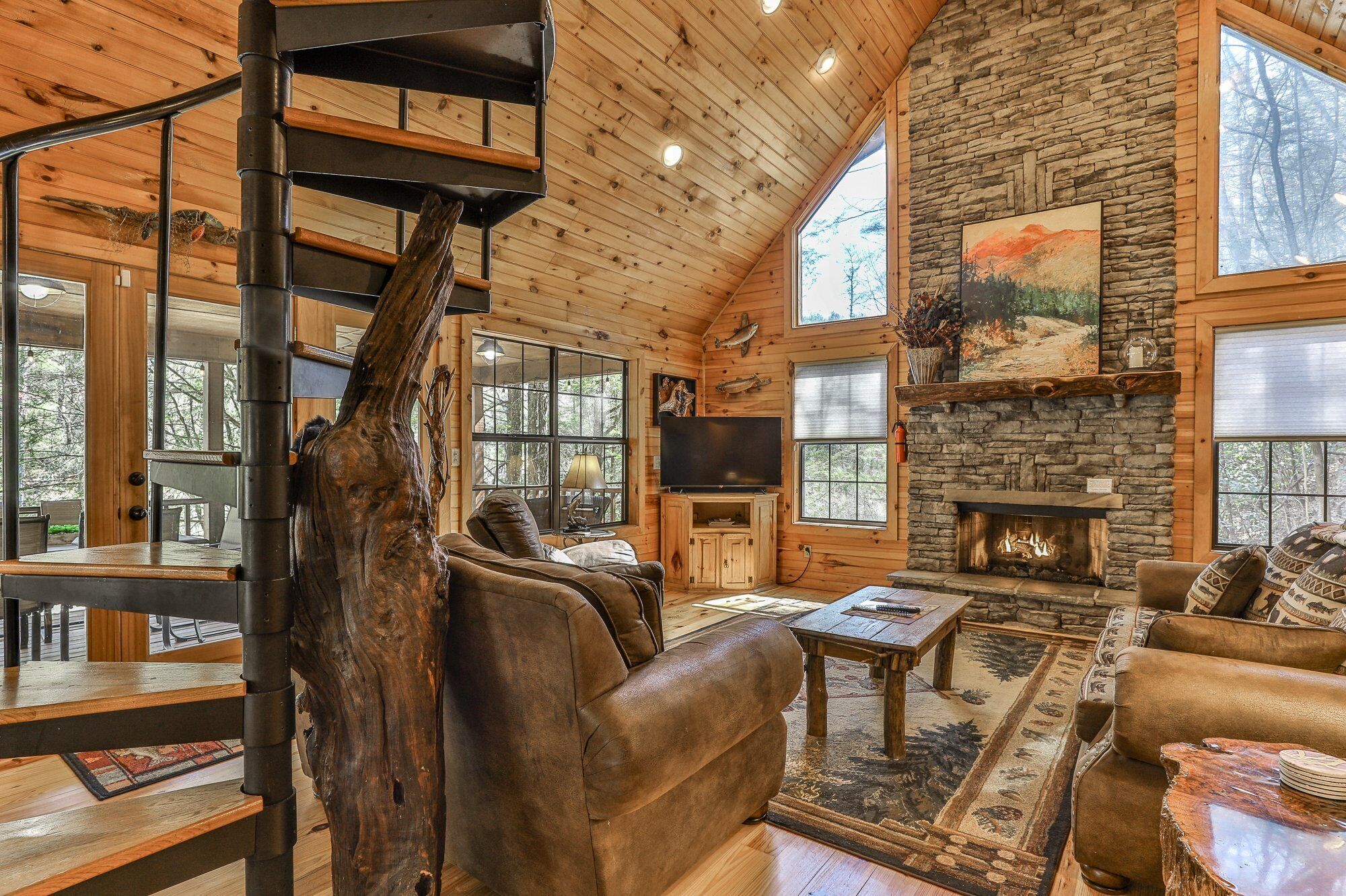 TV, fireplace, DVD player