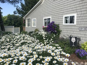 Une maison avec un jardin rempli de marguerites blanches et de fleurs violettes, une pancarte indiquant « Il est toujours temps de boire du VIN » et une petite enseigne sur laquelle est écrit « The Lodge ».