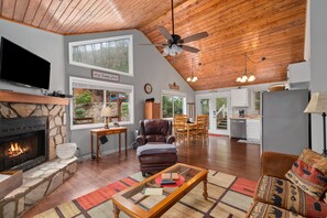 Smart TV, fireplace, DVD player, books