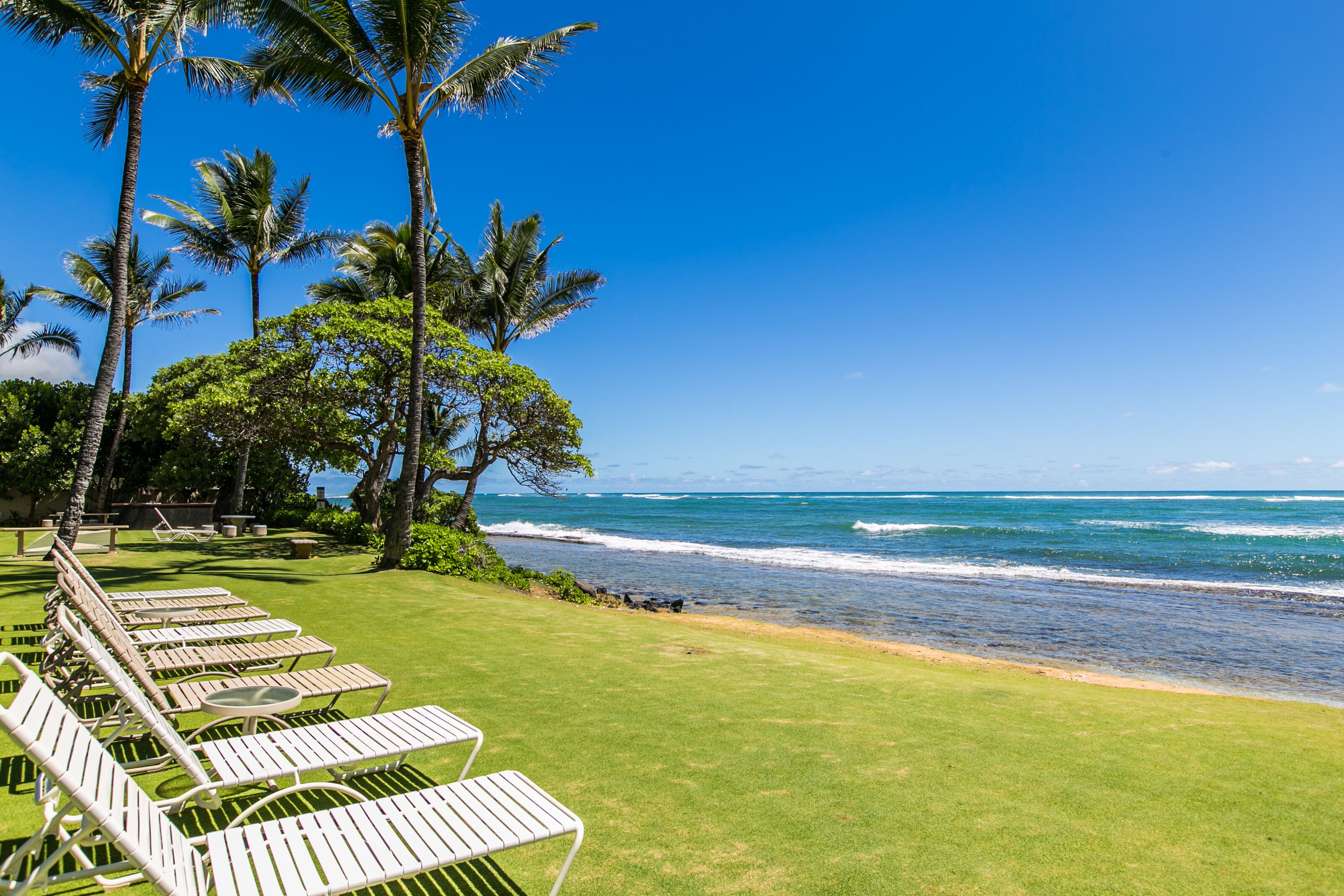 A beachside resort with lounge chairs, palm trees, and ocean views.