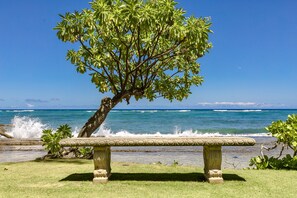 Un banc, avec un arbre derrière, donnant sur une plage où l’on peut voir des vagues et un ciel dégagé.
