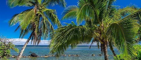 靠近海滩