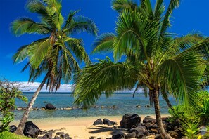 Une plage bordée de palmiers, avec une eau cristalline et des rochers.