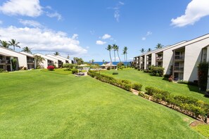 Property grounds - Hale Kamaole 223  Second floor condo, easy access to best beach on Maui! (Kihei)