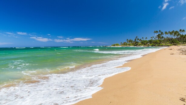 A beach with clear turquoise water, a sandy shore, and a line of palm trees in the background.