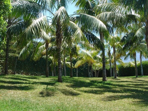 Beautiful villa/farmhouse in exclusive 5,000m2 botanical garden,  private pool